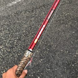 久々のＬＳＪはツバス祭りでした。