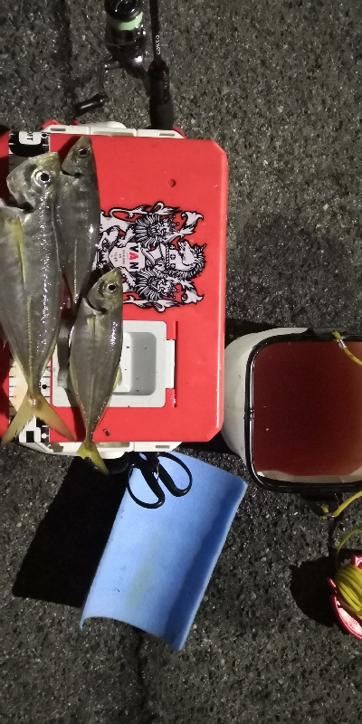 アジング練習4 湾奥ジャンボ