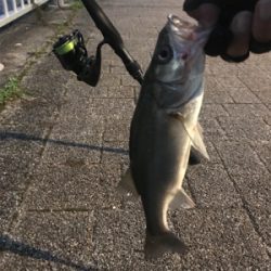 さて、サイズが…