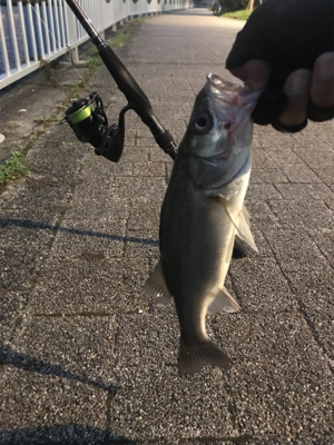 さて、サイズが…