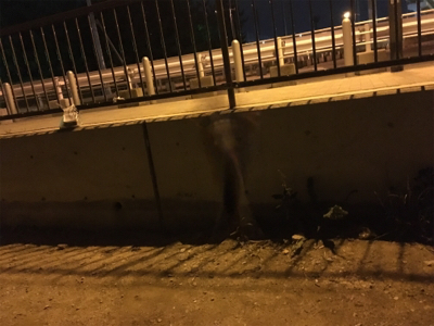 恐るべし…熟成アクア