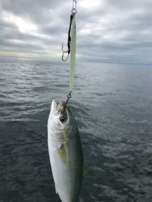 ノマセ がスゴい