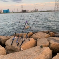 テナガエビ釣り