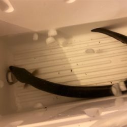 うなぎ、キビレ