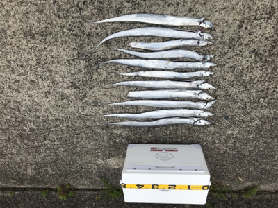 ワインド太刀魚からジギング