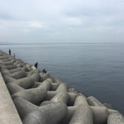 貝塚ライトゲーム