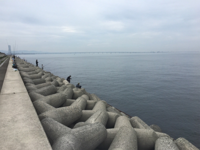 貝塚ライトゲーム