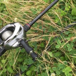 つりぴぃぽぉ釣果