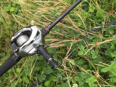 つりぴぃぽぉ釣果