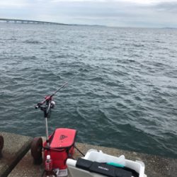 紀州釣り 難しくて面白い！