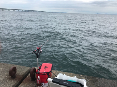 紀州釣り 難しくて面白い！