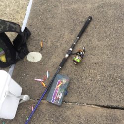 ツバス多いです！