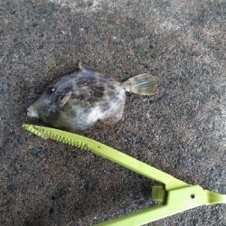 ココはパラダイスか