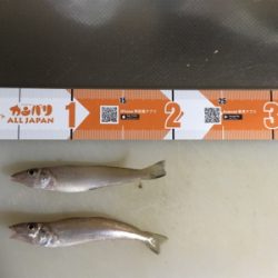 初めて釣れました