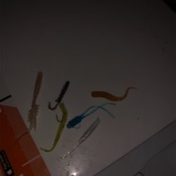 シーサイドコスモでメバリング・アジング