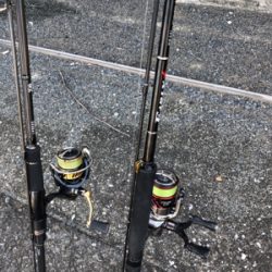 アワビチューンでまさかのナナマル シーバス