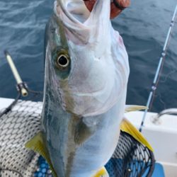 マイボート祝日釣行