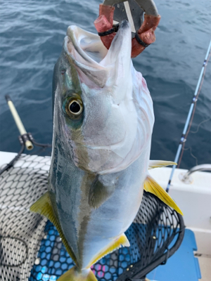 マイボート祝日釣行