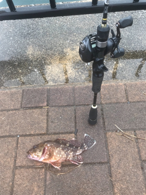 ベイトでロック