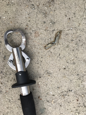 サワラ？サゴシ？