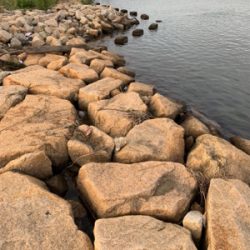 ナイトテナガエビ釣り