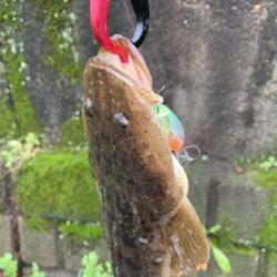 梅雨の中休みに!