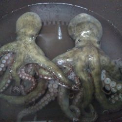 根掛かりが酷い！