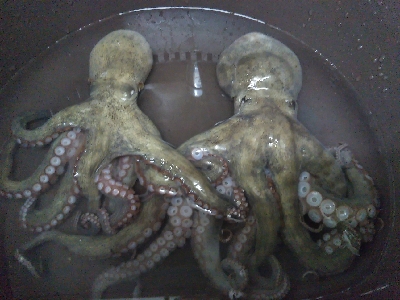 根掛かりが酷い！