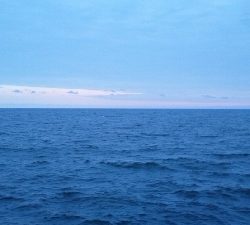 徐々にサイズダウン