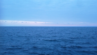 徐々にサイズダウン