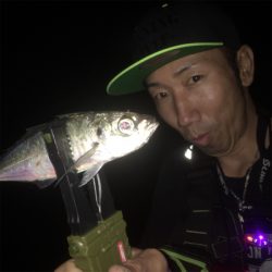 中アジ爆釣!GUNNING-STYLE