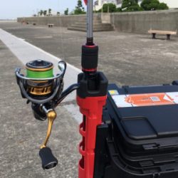 朝まずめアジング