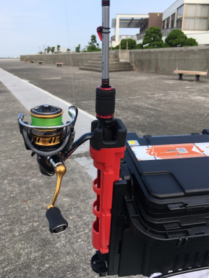 朝まずめアジング