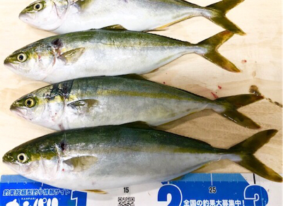 ツバッシング〜