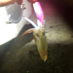 仕事終わりに釣行