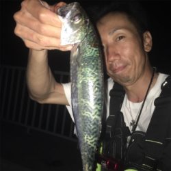 みんな大好き剣先イカ☆GUNNING-STYLE