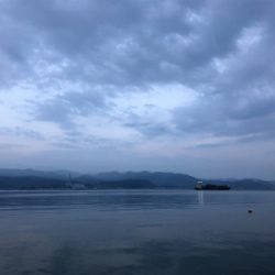 いろんな魚がいた