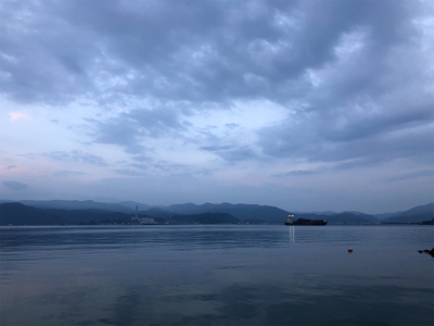 いろんな魚がいた