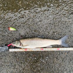 魚が掛かった途端に…