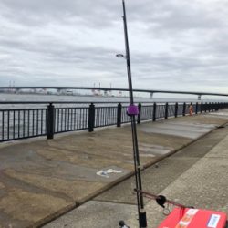 チャンスはつかめずツバスは大漁