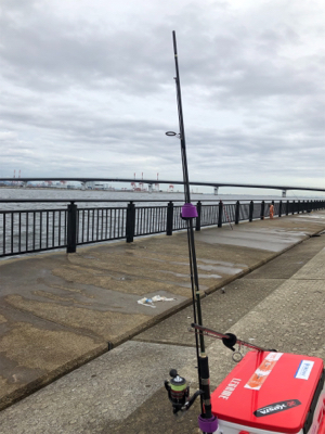 チャンスはつかめずツバスは大漁