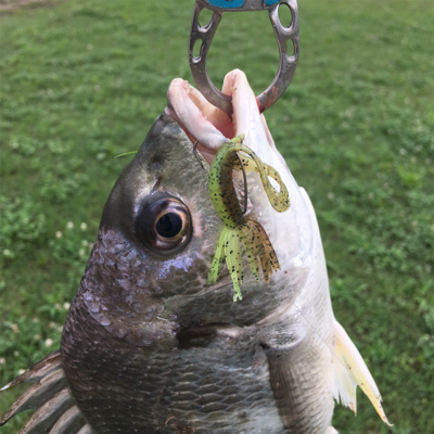 淀川ブリームゲーム 雨上がりの高活性