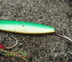 ダイソールアーでマゴチ2本！