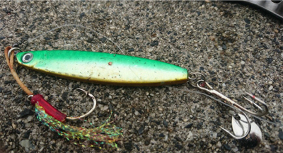 ダイソールアーでマゴチ2本！