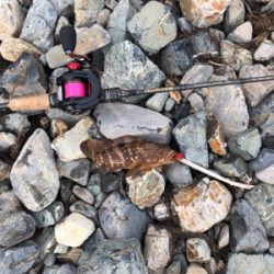 親父たちの釣行 ホームグランド編