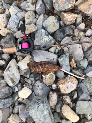 親父たちの釣行 ホームグランド編