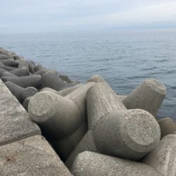 淡路島遠征するも…