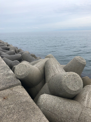 淡路島遠征するも…