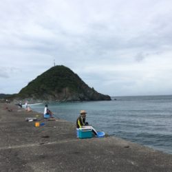 サビキ、フカセ