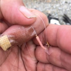 【要注意!!】針・糸放置の被害発見